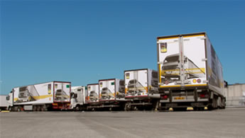 Truck ADV Shell Rimula - OOH Dinamica